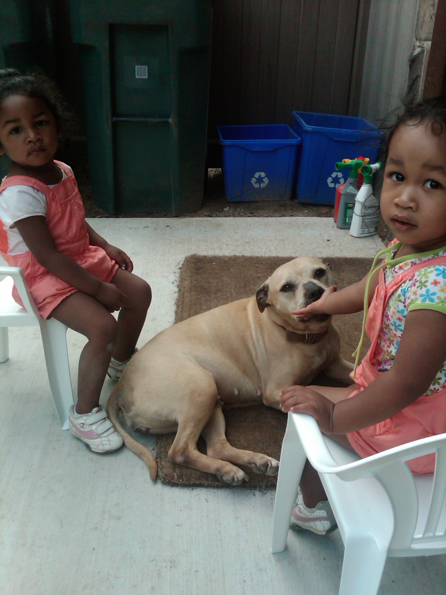 IMG00031-20100625-1754